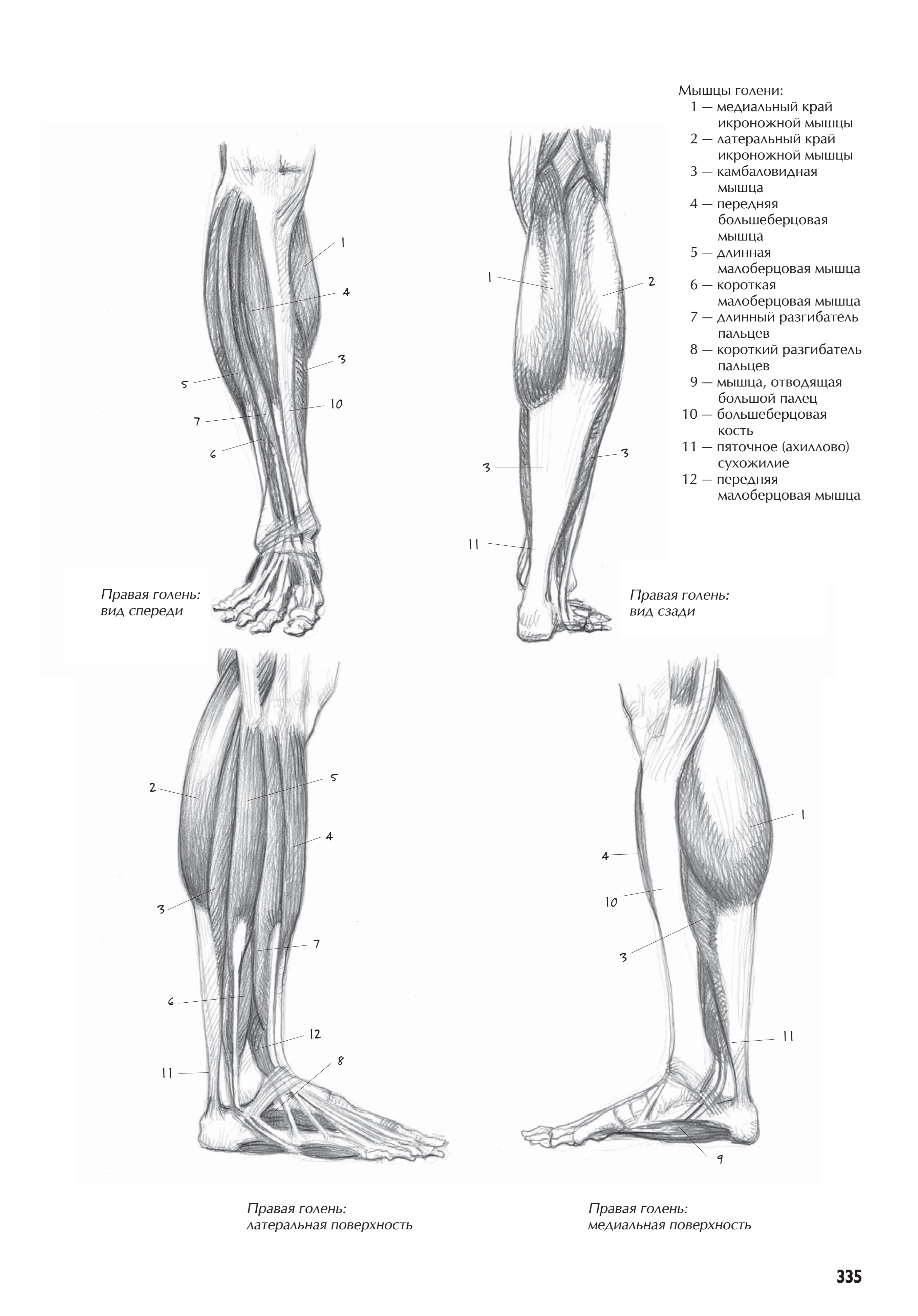 آموزش نقاشی طراحی سیاه قلم شهرری